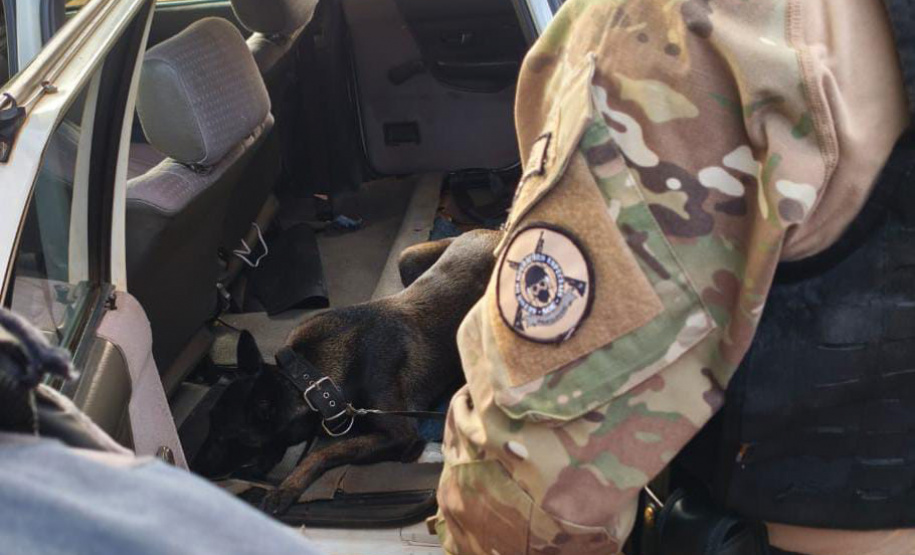 K9 “Glock”, da Polícia Penal, fareja e encontra 81 kg de maconha durante ação conjunta com a PRF em Maringá