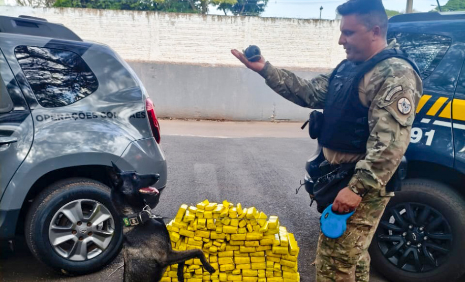 K9 “Glock”, da Polícia Penal, fareja e encontra 81 kg de maconha durante ação conjunta com a PRF em Maringá