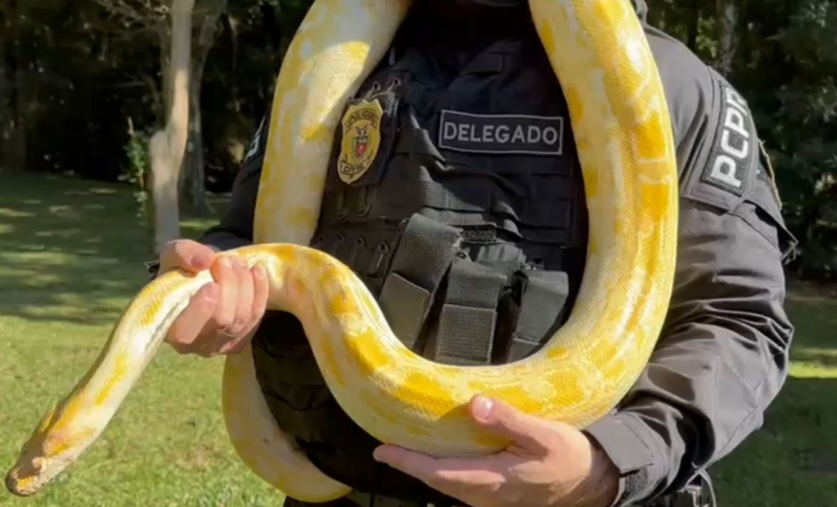 Na corrida pelo meio ambiente, cada passo importa: ações da PCPR reforçam a importância do cuidado com a natureza