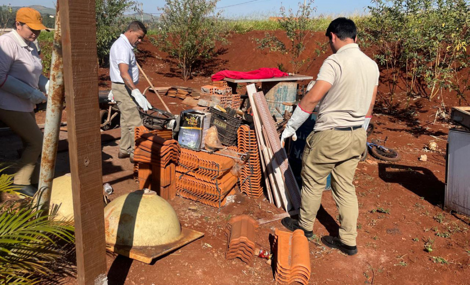 Saúde reforça cuidados e medidas de prevenção para evitar acidentes com escorpiões no Paraná
