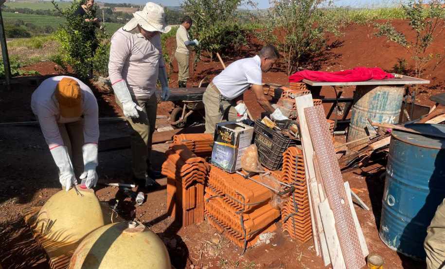 Saúde reforça cuidados e medidas de prevenção para evitar acidentes com escorpiões no Paraná