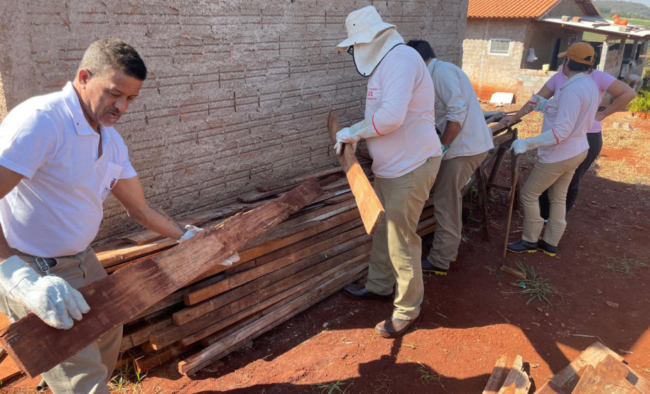 Saúde reforça cuidados e medidas de prevenção para evitar acidentes com escorpiões no Paraná