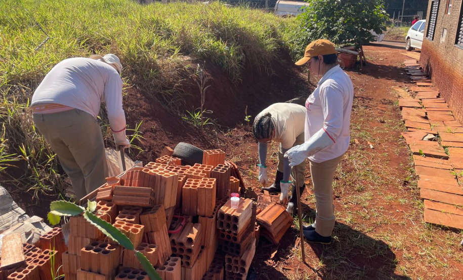 Saúde reforça cuidados e medidas de prevenção para evitar acidentes com escorpiões no Paraná
