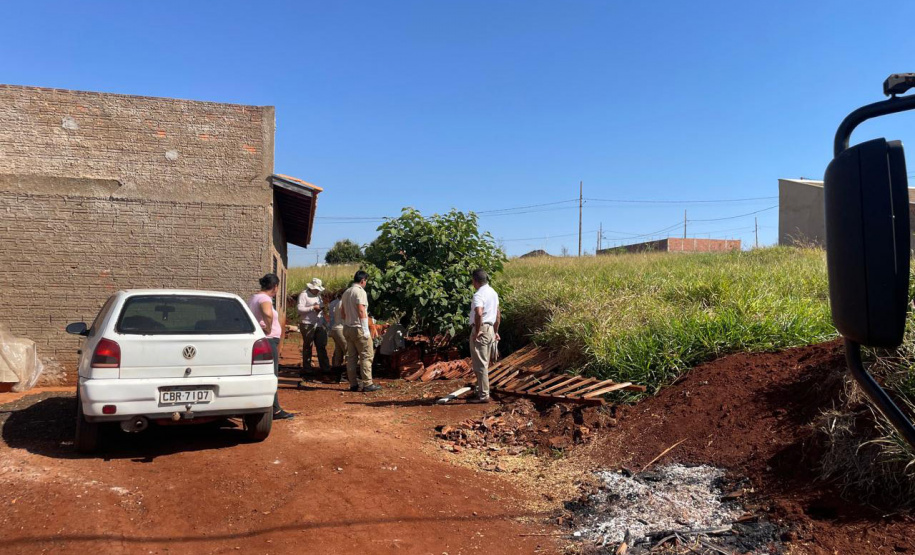 Saúde reforça cuidados e medidas de prevenção para evitar acidentes com escorpiões no Paraná