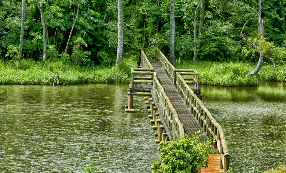 Unidades de Conservação do Paraná administradas pelo IAT receberam mais de 46 mil turistas em julho, durante o período de férias escolares
