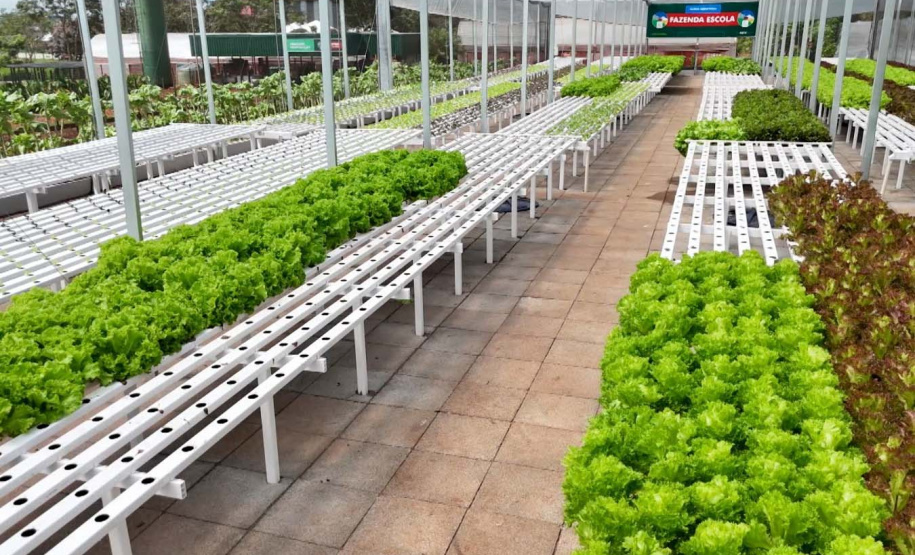 AgroTur estreia de cara nova na TV Paraná Turismo nesta terça-feira