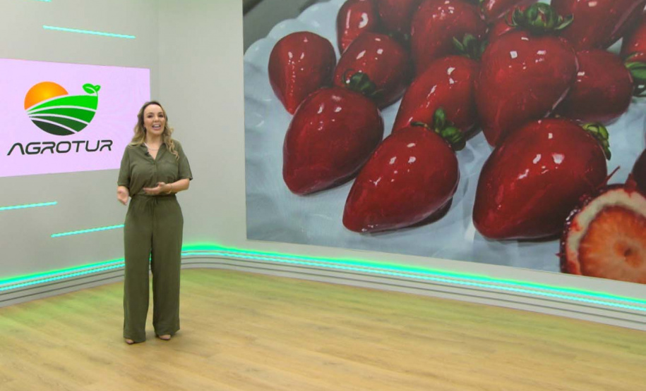 AgroTur estreia de cara nova na TV Paraná Turismo nesta terça-feira