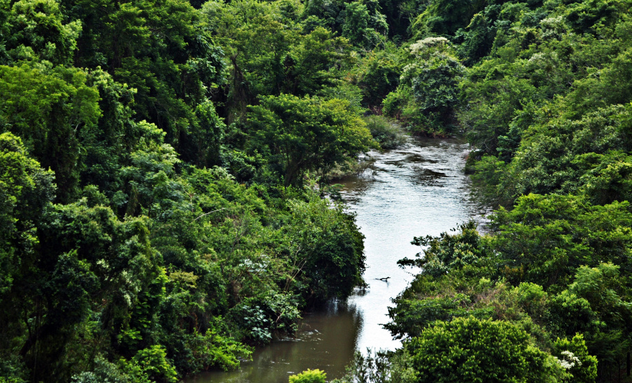 Comitê de Bacia Hidrográfica (CBH) dos Rios Piquiri e Paraná 2 vai se reunir em outubro para selecionar os membros que vão comandar a gestão 2025-2029