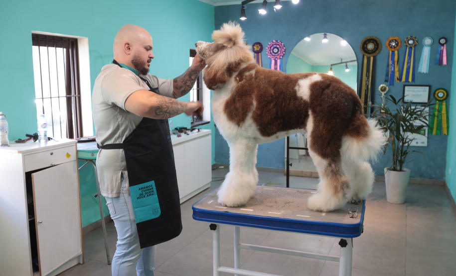 serviços Petshop