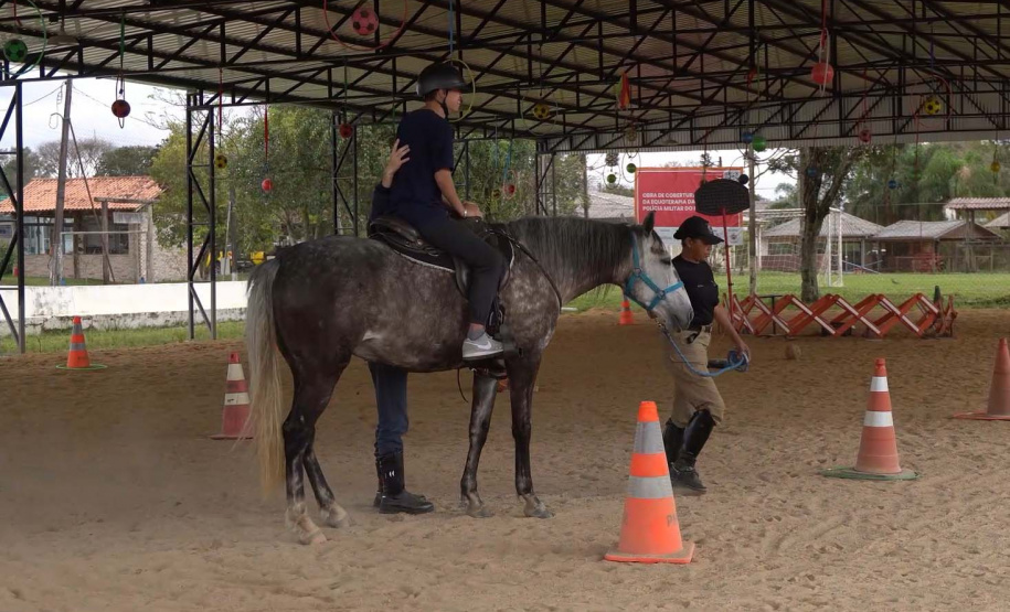 Projeto de Equoterapia da PMPR amplia atendimento com apoio da Sanepar