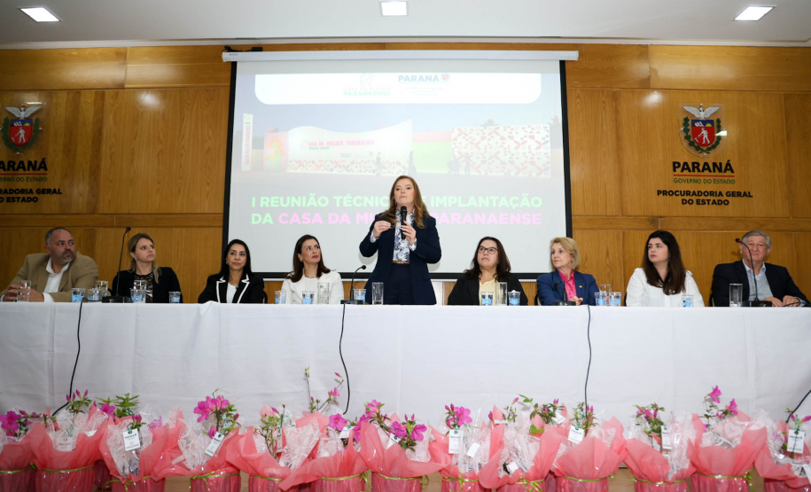 SEMIPI: Paraná realiza reunião técnica sobre implantação da Casa da Mulher Paranaense