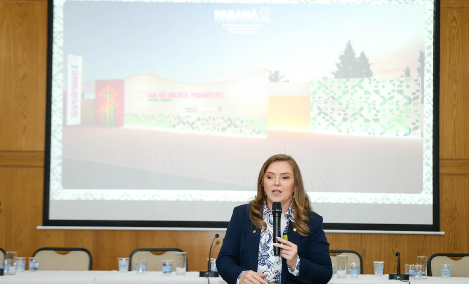 SEMIPI: Paraná realiza reunião técnica sobre implantação da Casa da Mulher Paranaense
