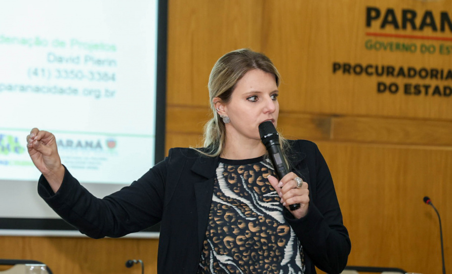 SEMIPI: Paraná realiza reunião técnica sobre implantação da Casa da Mulher Paranaense