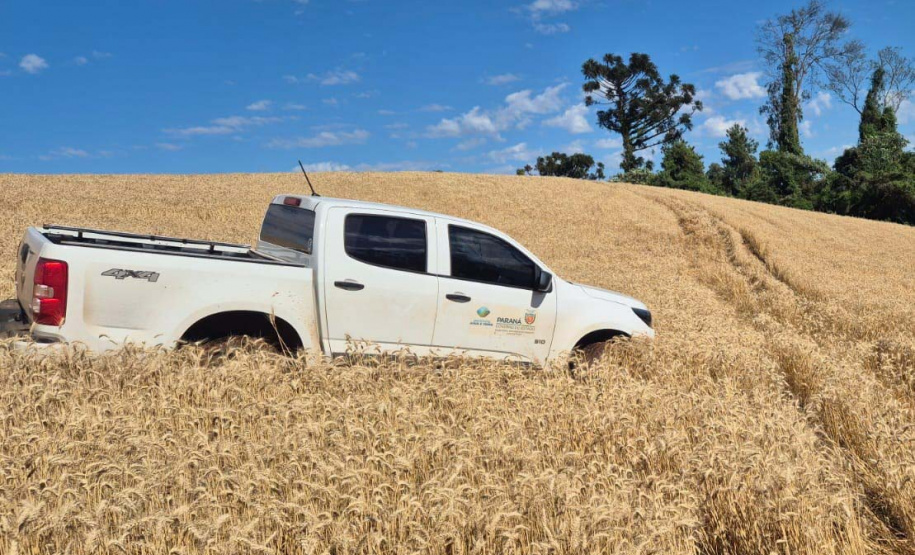 IAT - Operação Mata Atlântica