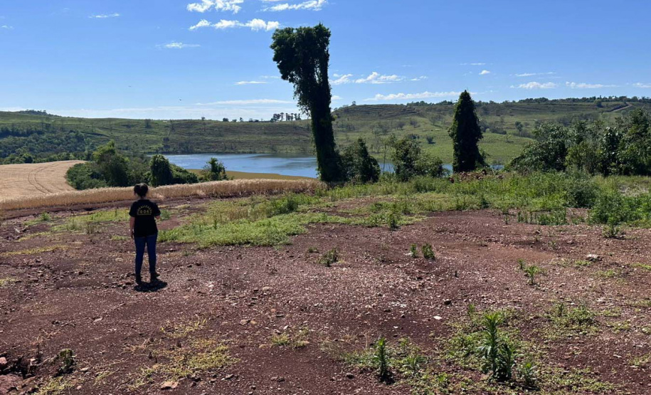 IAT - Operação Mata Atlântica