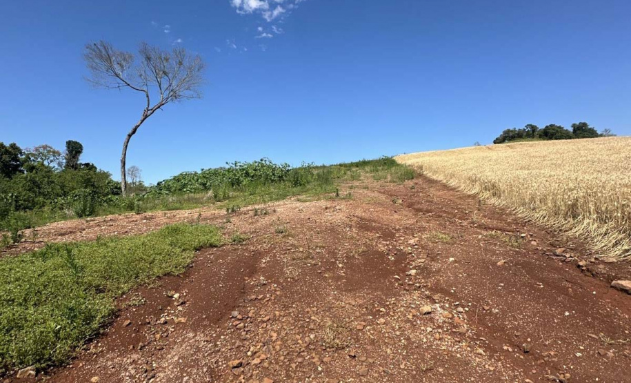 IAT - Operação Mata Atlântica