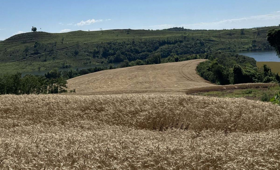IAT - Operação Mata Atlântica