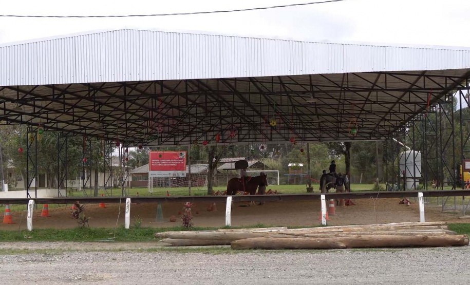 Projeto de Equoterapia da PMPR amplia atendimento com apoio da Sanepar