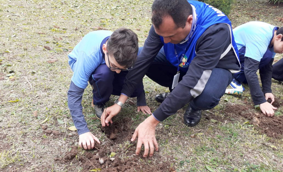 Paraná lidera ranking nacional de áreas verdes e infraestrutura nas escolas