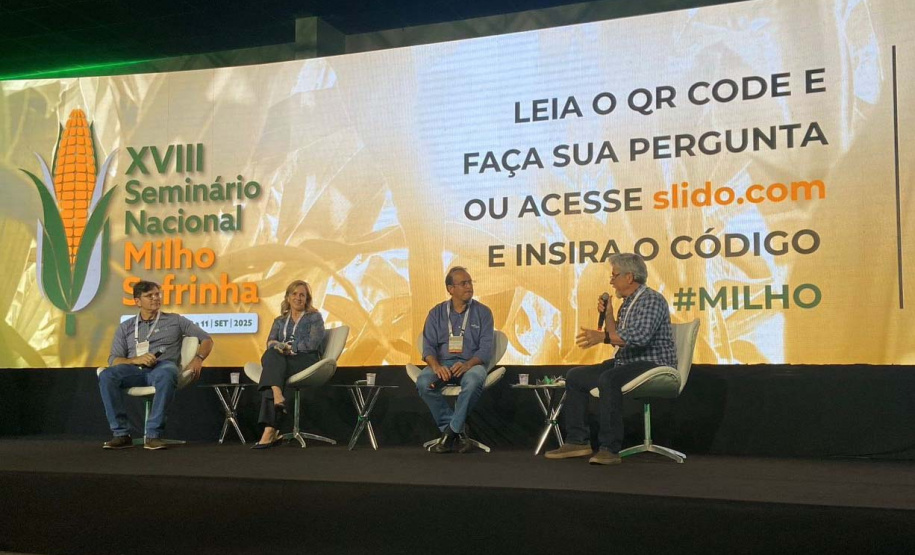 Milho: produzir mais é desafio para a pesquisa e a extensão rural
