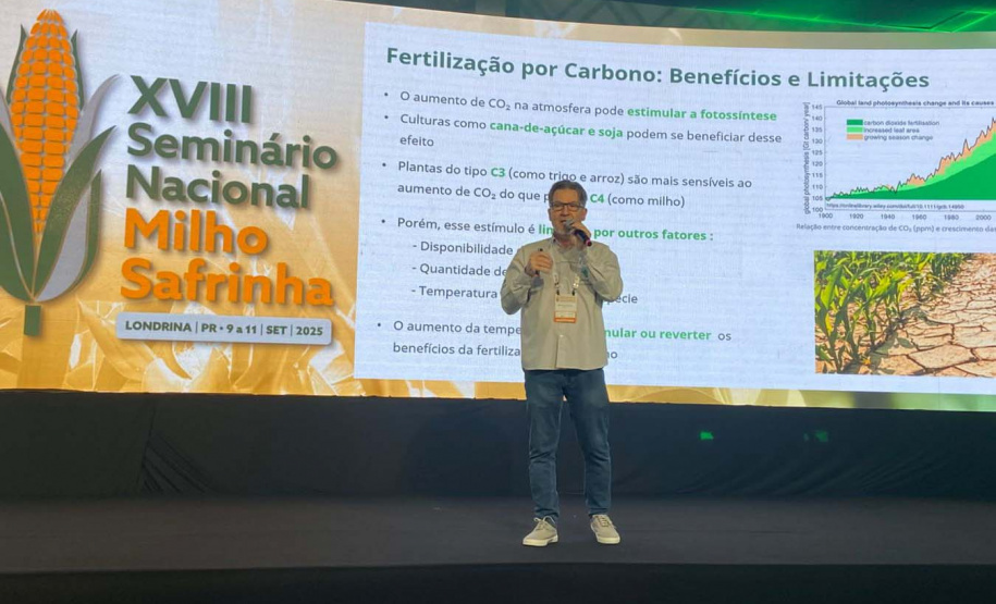 Milho: produzir mais é desafio para a pesquisa e a extensão rural
