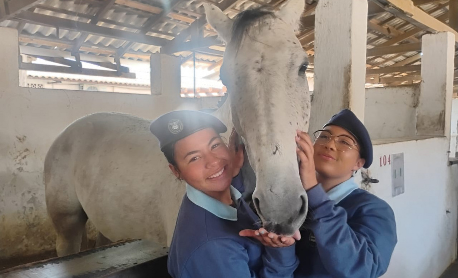 Colégios cívico-militares se preparam para desfiles de 7 de Setembro