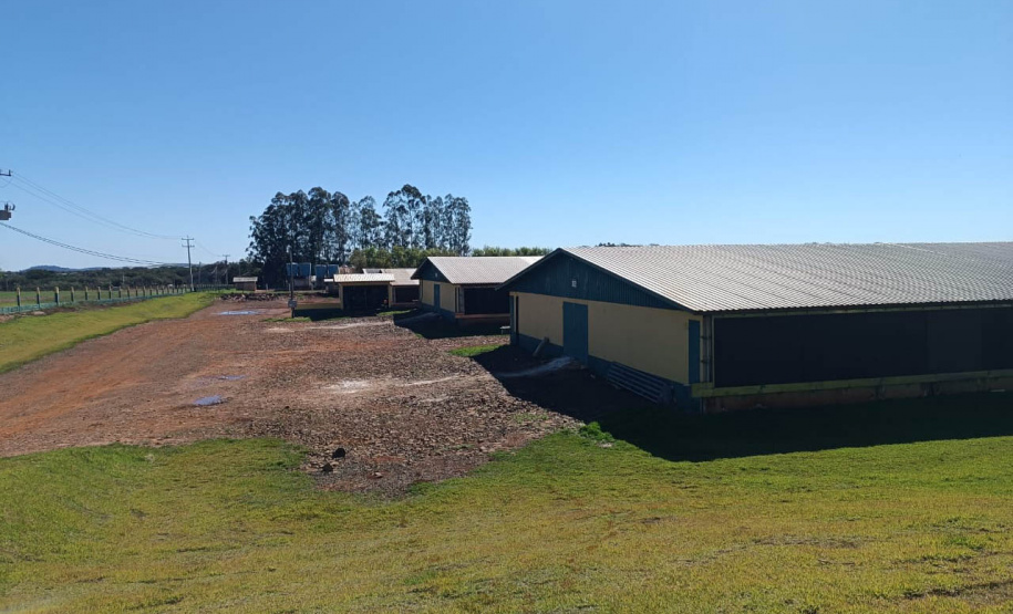 Adapar realiza força-tarefa para assegurar biosseguridade em estabelecimentos avícolas no Paraná