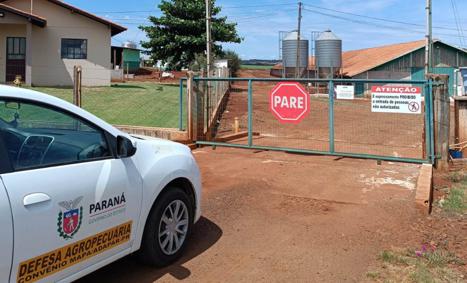 Adapar realiza força-tarefa para assegurar biosseguridade em estabelecimentos avícolas no Paraná