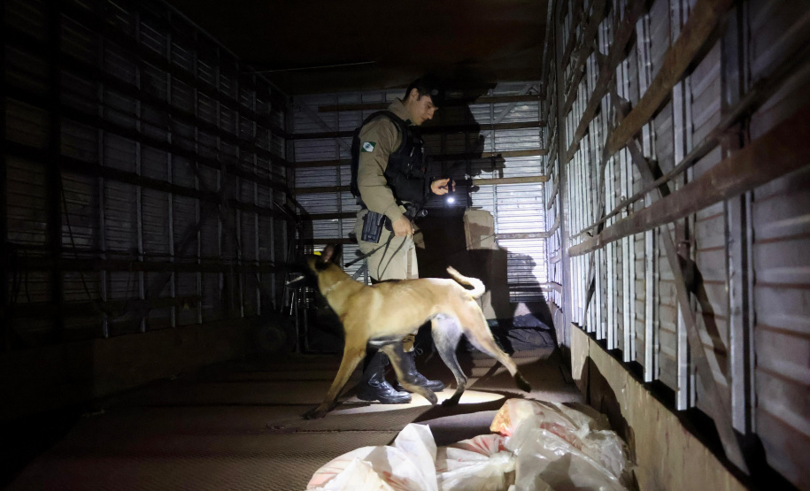 Operação Sinergia III é concluída com mais de 13 toneladas de drogas retiradas de circulação