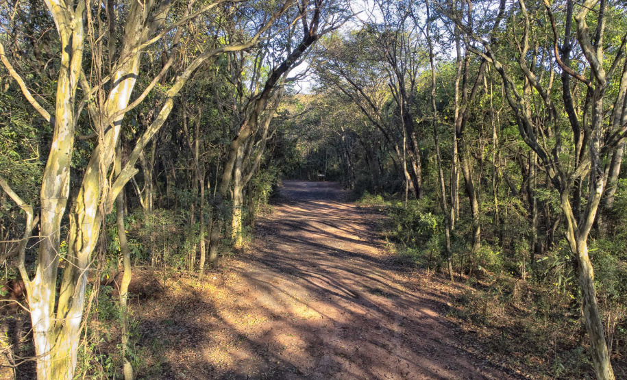 IAT - Parque Estadual de Amaporã