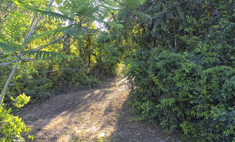 IAT - Parque Estadual de Amaporã