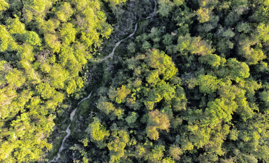 IAT - Parque Estadual de Amaporã