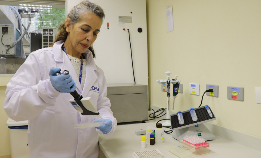 Alimentação escolar: controle rigoroso garante cardápios nutritivos e saudáveis nas escolas do Paraná