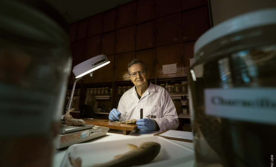 Pesquisadores das universidades estaduais do Paraná estão entre os mais  influentes do mundo