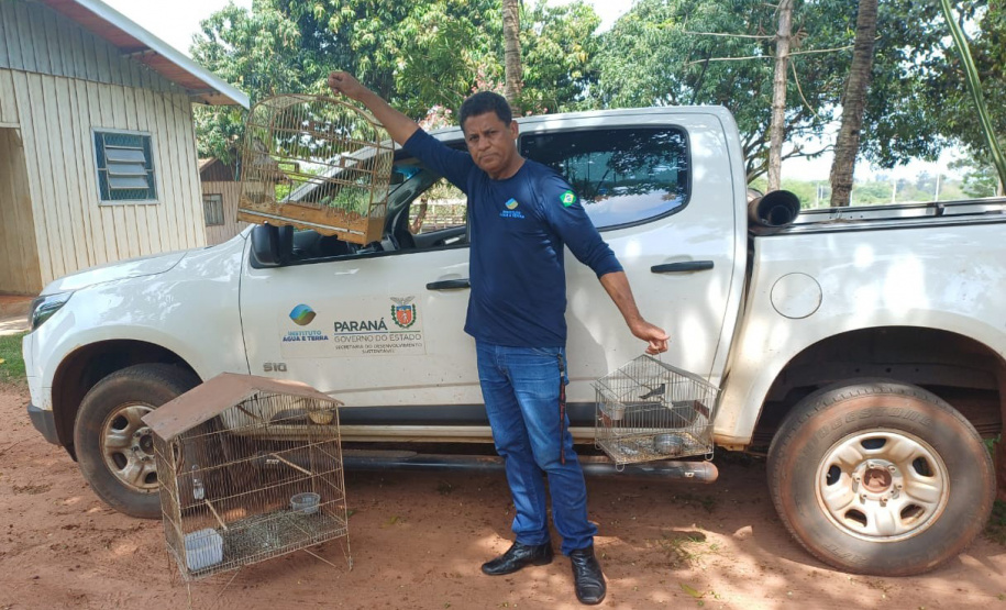Técnicos do Instituto Água e Terra (IAT) resgataram seis aves silvestres que eram mantidas em cativeiro irregular em Umuarama