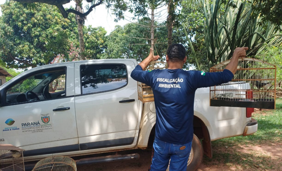 Técnicos do Instituto Água e Terra (IAT) resgataram seis aves silvestres que eram mantidas em cativeiro irregular em Umuarama