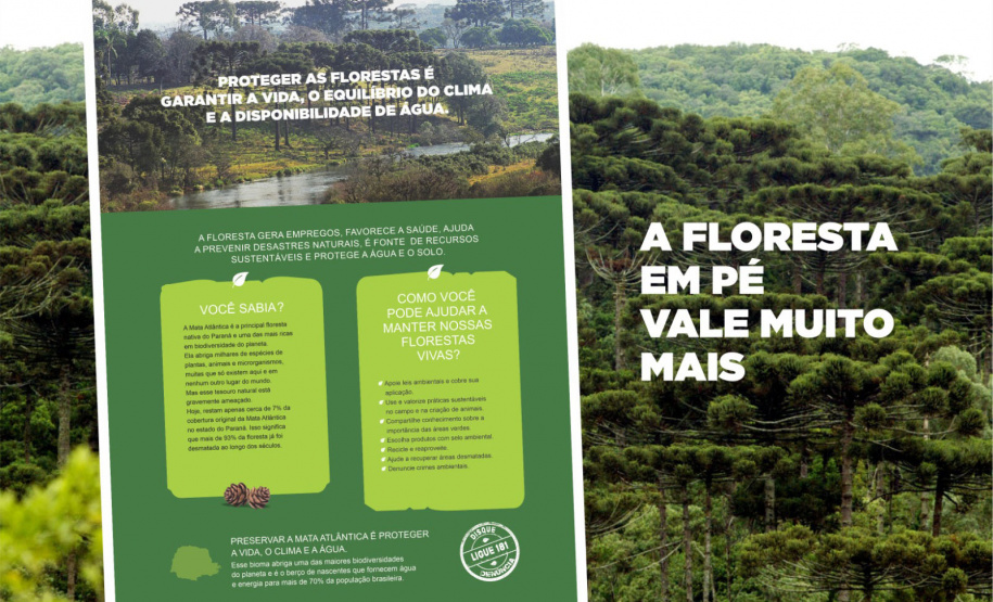 Instituto Água e Terra vai ampliar a coleção de materiais didáticos voltados à sensibilização e conscientização ambiental com seis novas cartilhas.
