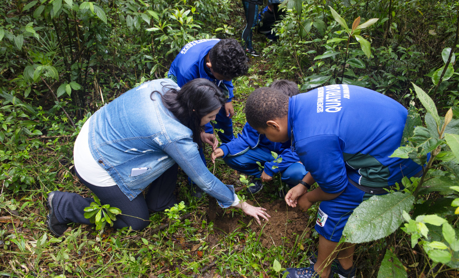 Dia das Crianças Ambiental