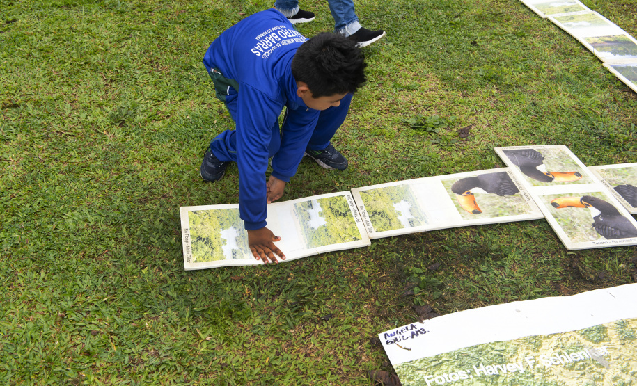 Dia das Crianças Ambiental