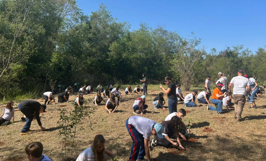 Ação de educação ambiental organizada pelo IAT estimula a troca de roupas infantis e brinquedos novos ou em bom estado por mudas de espécies nativas