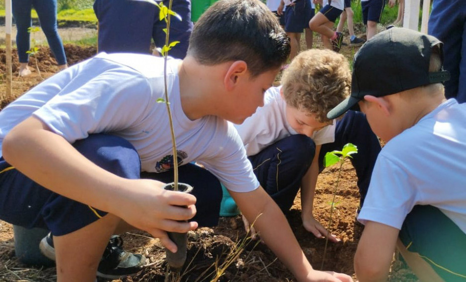 Ação de educação ambiental organizada pelo IAT estimula a troca de roupas infantis e brinquedos novos ou em bom estado por mudas de espécies nativas