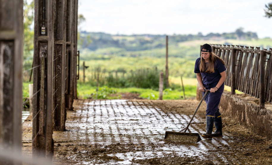 Paraná fortalece ensino agrícola com tecnologia, cursos técnicos e inovação aplicada