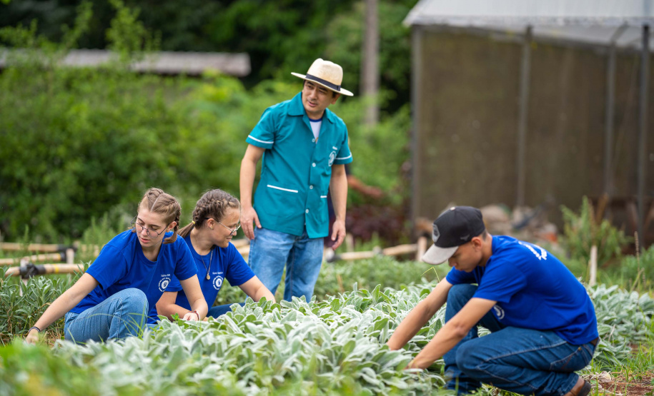 Paraná fortalece ensino agrícola com tecnologia, cursos técnicos e inovação aplicada