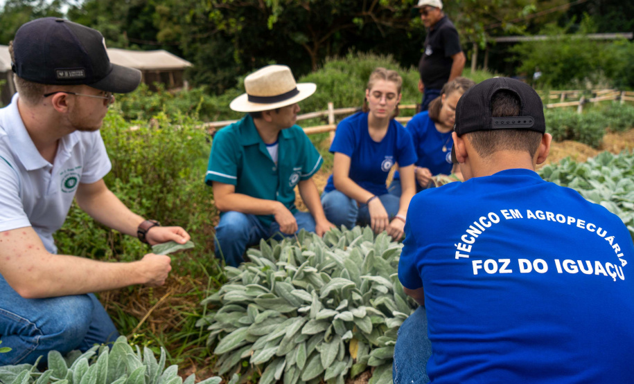 Paraná fortalece ensino agrícola com tecnologia, cursos técnicos e inovação aplicada