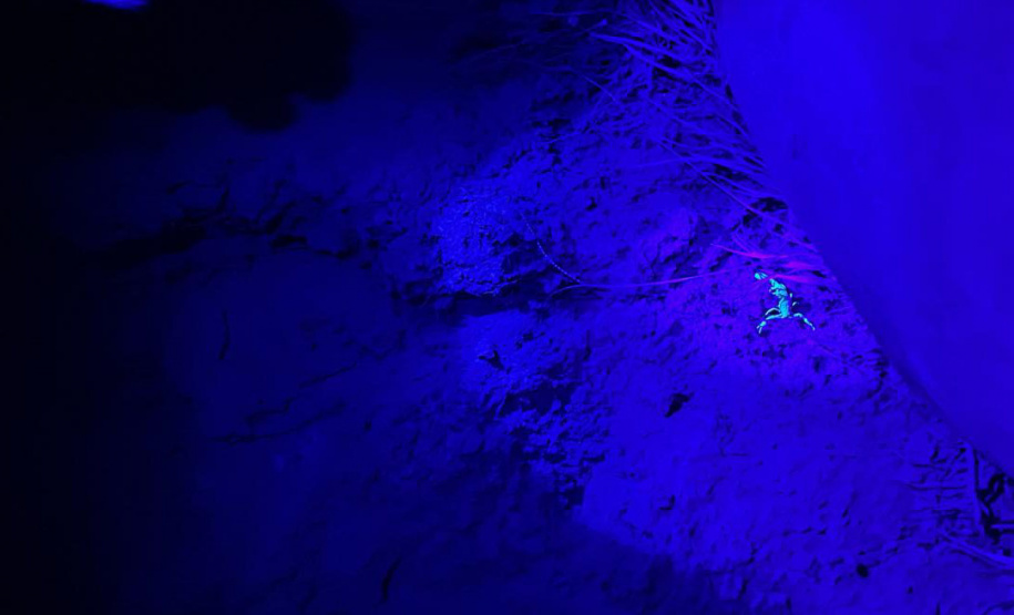 19ª Regional de Saúde de Jacarezinho / Sesa-PR