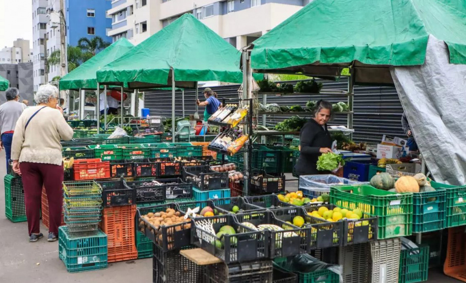 Ciência a serviço do campo: Paraná investe R$ 14,7 milhões em nova fase do programa de orgânicos