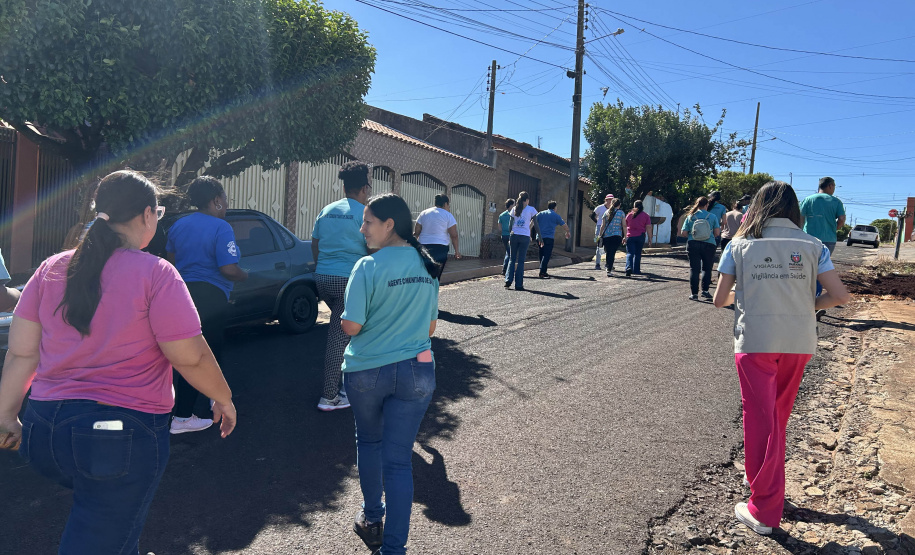 Estado e equipes municipais de saúde de Cambará se unem para disseminar informação e capturar escorpiões