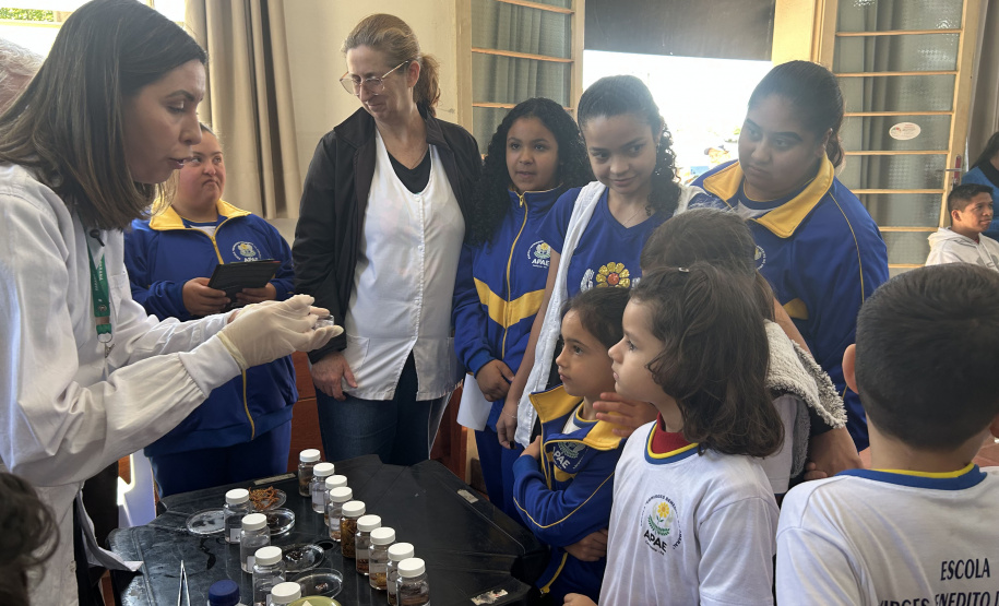 Crianças e adolescentes participam de ação de educação para enfrentamento ao escorpião