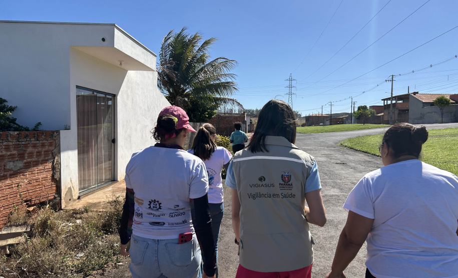 Estado e equipes municipais de saúde de Cambará se unem para disseminar informação e capturar escorpiões