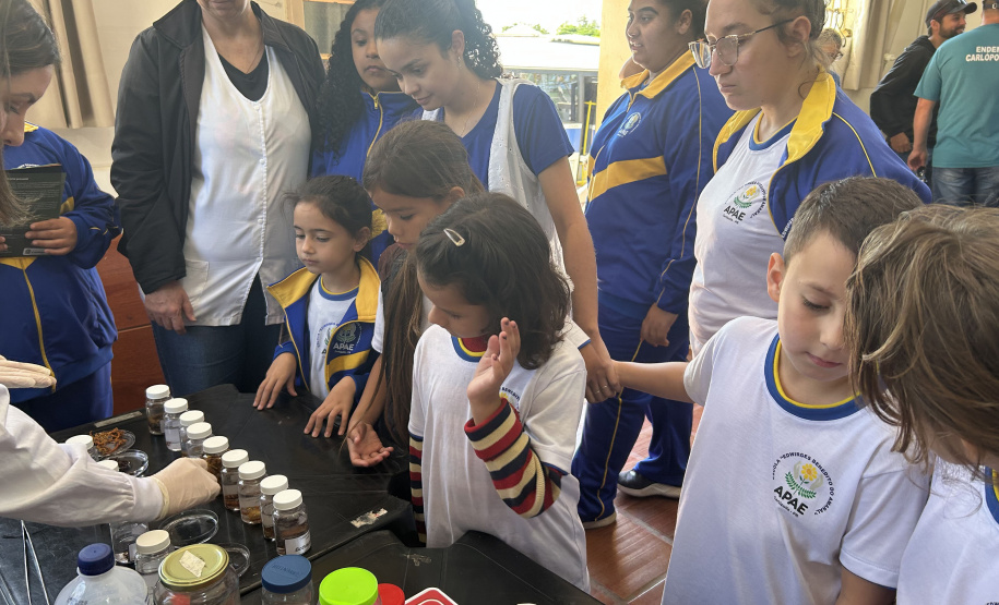 Crianças e adolescentes participam de ação de educação para enfrentamento ao escorpião